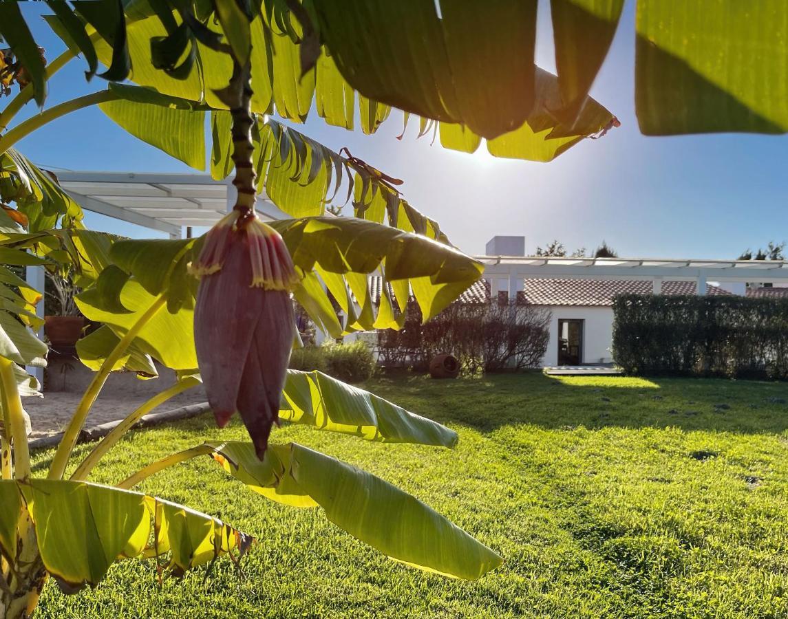 Herdade do Kuanza Zambujeira do Mar Exterior foto